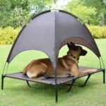 Dog Cot with Canopy Raised Pet Bed with Canopy Raised Dog Pet Bed Tent Indoor Outdoor Bed Portable Camping Beach Travel Shade Camping Pet Basket Oxford Fabric Lightweight & Portable