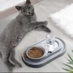 Double Pet Bowls with Automatic Water Dispenser